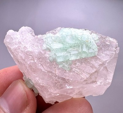 148 CT. Rare Lagoon Tourmaline Crystals On Morganite Crystal - Kunar, AFG