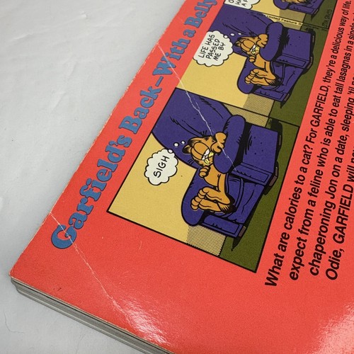 VTG GARFIELD 5 PB Books (#21 through 25) by Jim Davis (1990s) - Picture 18 of 20