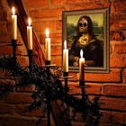 Bild 7 von 7