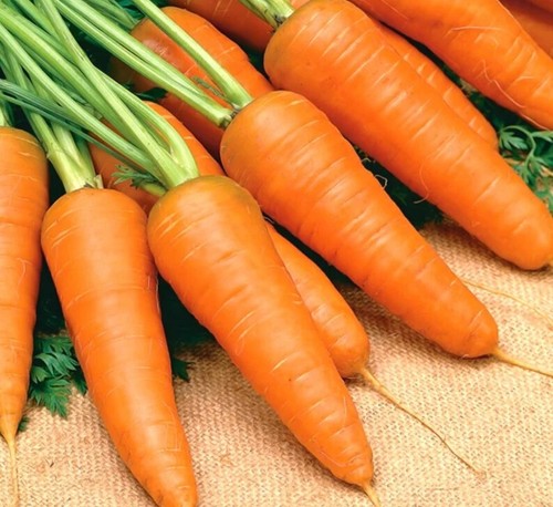Herb & Veg Seeds - Large Variety - Grow your own - Free P & P - Up to 20% Off - Picture 91 of 136