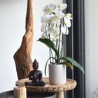 Bild 3 von 12