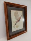 Picture 2 of 7