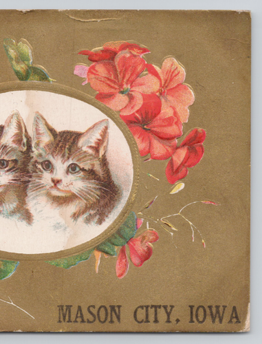 Antique Greetings from Mason City, IA Iowa Postcard Kitty Cats in Flower Circle - Picture 5 of 7