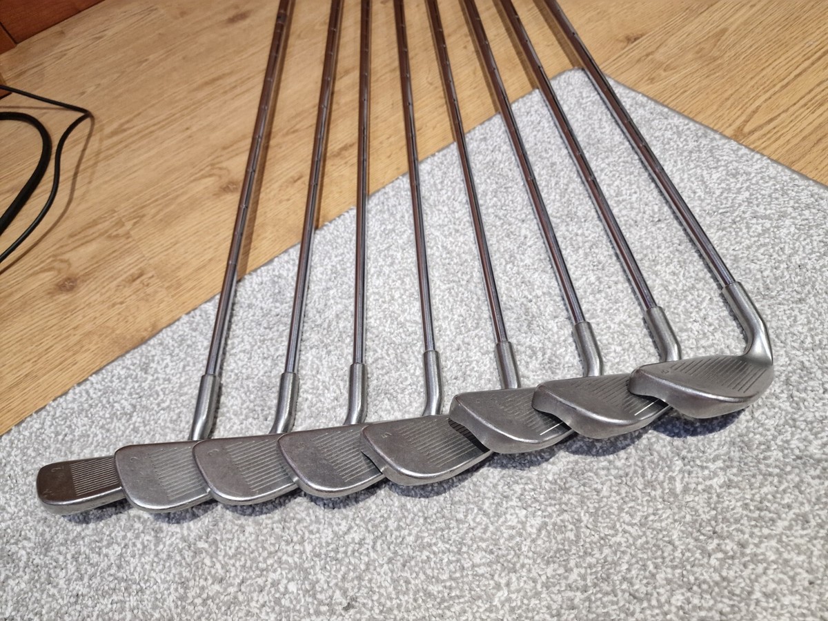 Ping Zing Karsten Blue Dot Iron Set 2-9 Steel Shafts RH 8