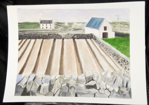 Irish BLUE ROOF COTTAGE Furrows Aran I Ireland Watercolor Painting Sullivan 8x10 - Picture 1 of 3