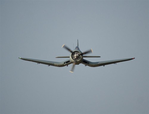 Jaula para pájaros Freewing Flightline F4U 1A EPO 1600 mm PNP Warbird sin escobillas - Imagen 7 de 7