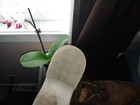 Bild 3 von 13
