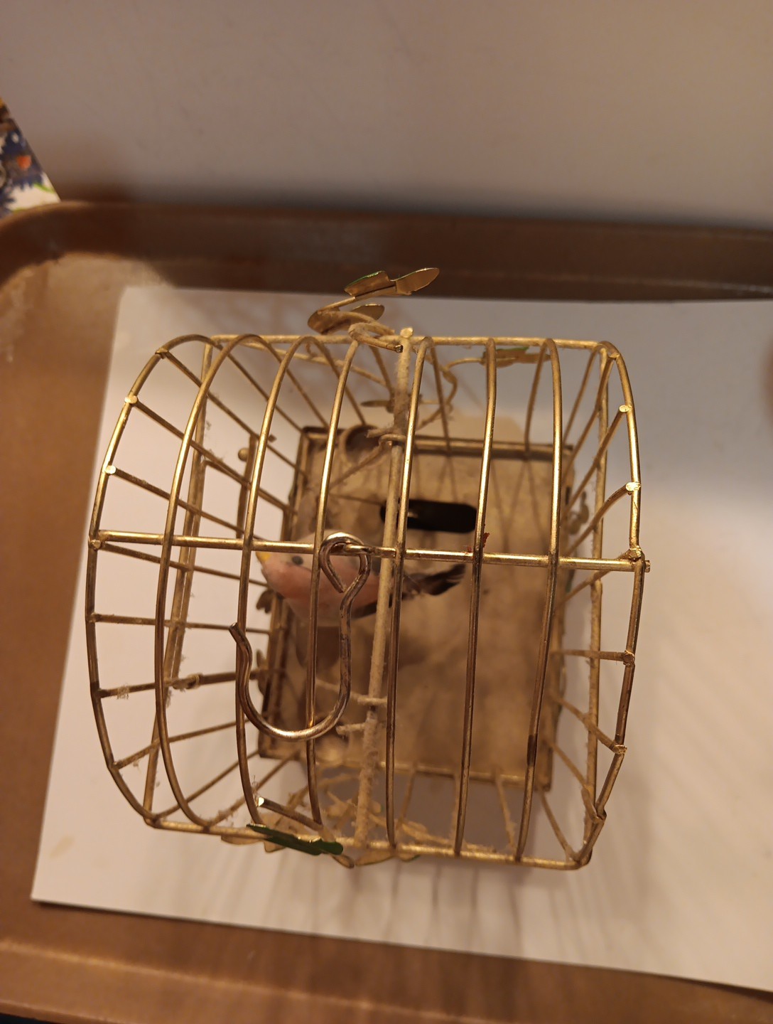 Picture 5 of 20