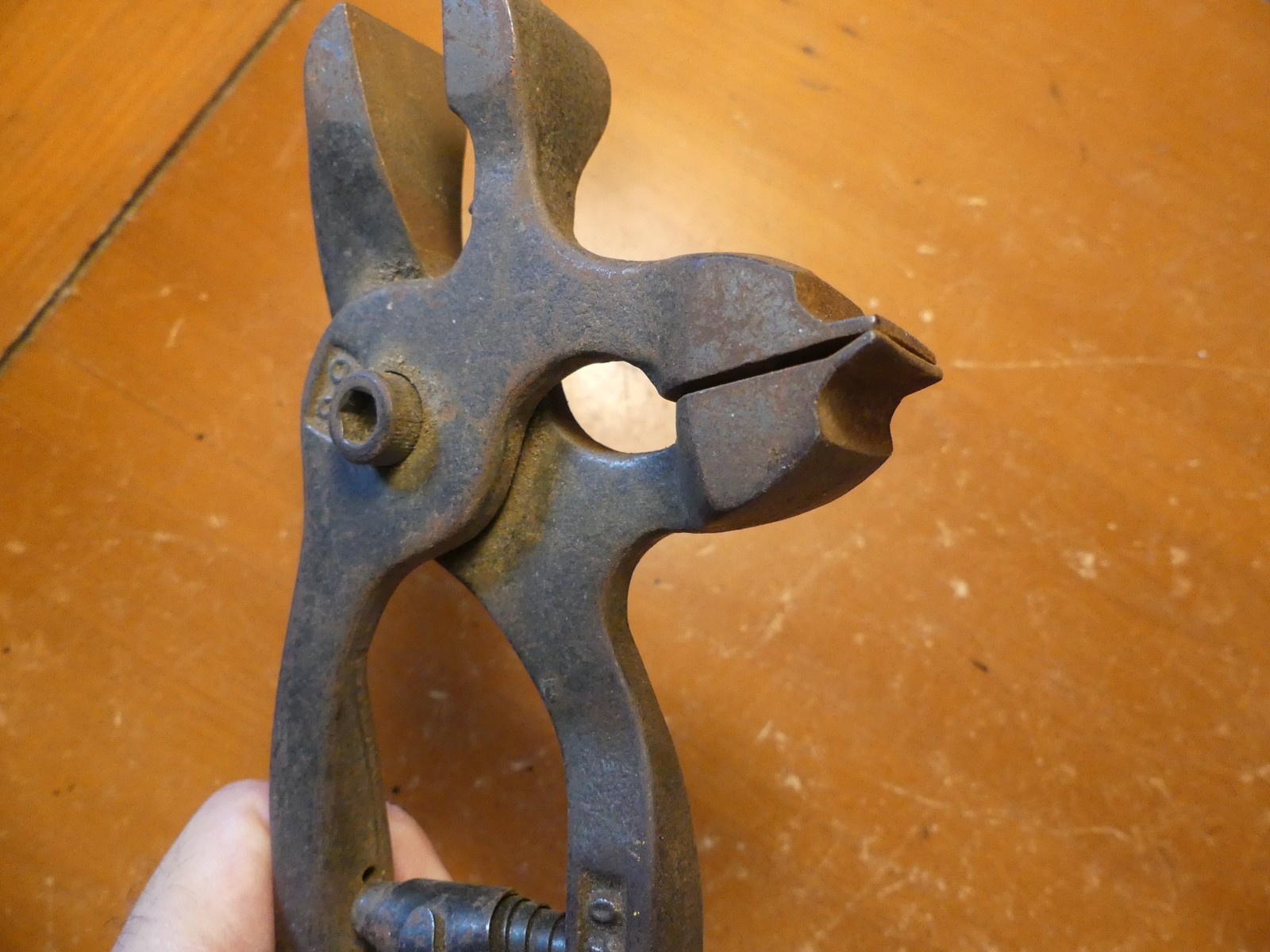 Picture 6 of 13