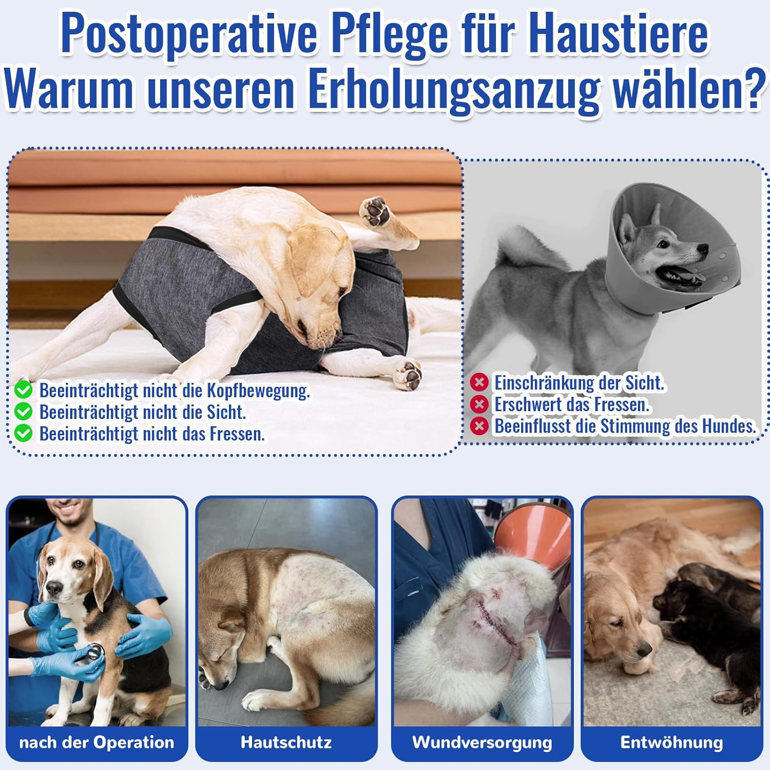 Bild 4 von 7