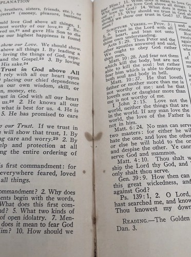 The Small Catechism Of Dr. Martin Luther with Explanation By Joseph Stump 1907 - Picture 7 of 9