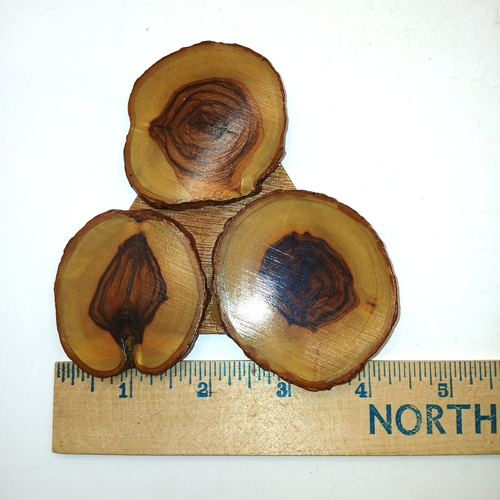 Vtg Olive? Wood Slice Trivet Folk Art Bark Edges Made in Israel 4x4 in - Picture 3 of 4