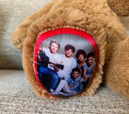 Costruisci un Orso One Direction 1D Orso Peluche Giocattolo Morbido - Foto 4 di 9