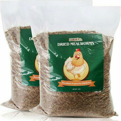 Wholesale Bulk Dried Mealworms for Wild Birds Food Blue Bird Chickens Hen Treats - Picture 18 of 19