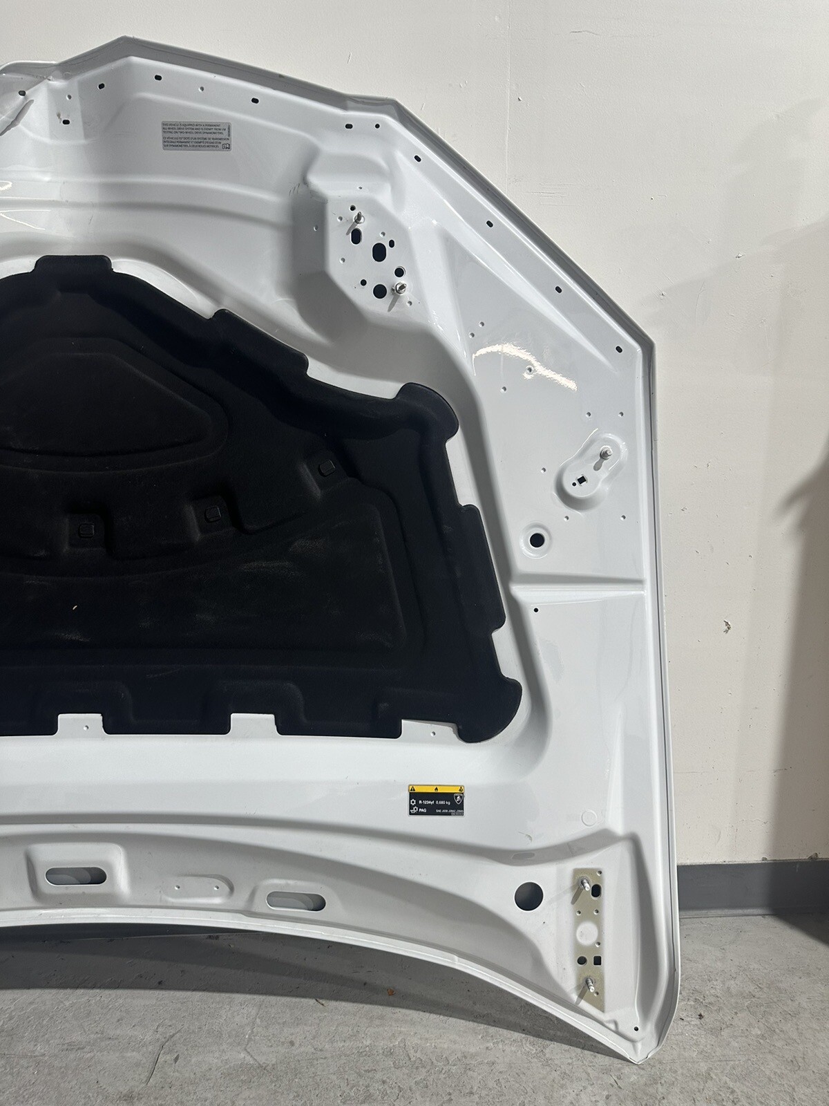 LAMBORGHINI URUS HOOD OEM (Damaged)