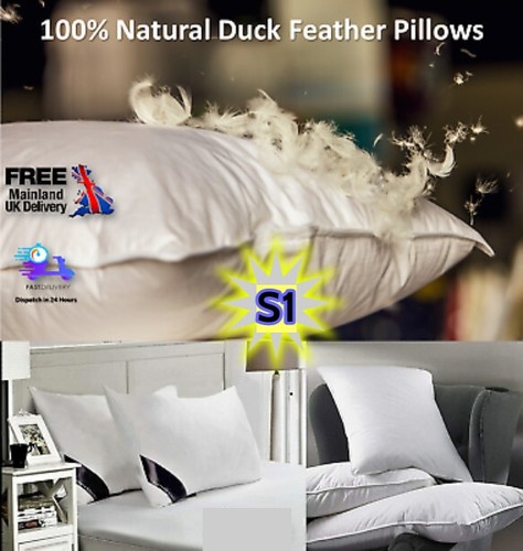 Luxury Duck Feather & Down Pillows Comfortable Extra Filling Hotel Quality NEW - Picture 1 of 6