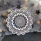 Bild 6 von 8