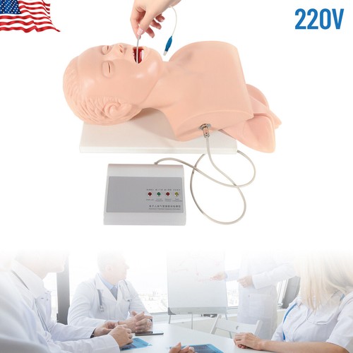 Airway Management Trainer Study Adult Oral Intubation Manikin Teaching Model NEW - Picture 3 of 23