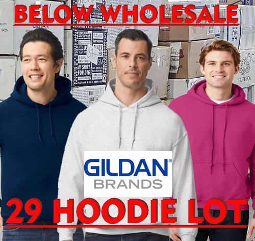 Below WHOLESALE 29 assorted Blank Medium Large XL 2XL Gildan 18500 Hoodie Lot - Picture 1 of 5