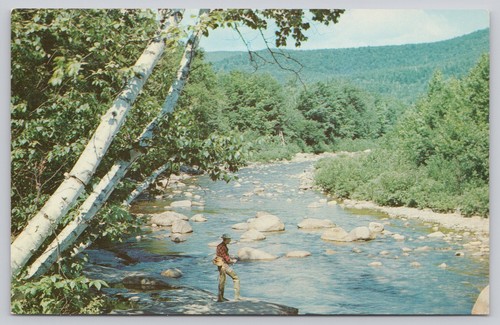 Vintage Fischerparadies Weiße Berge NH Fotochrome Postkarte