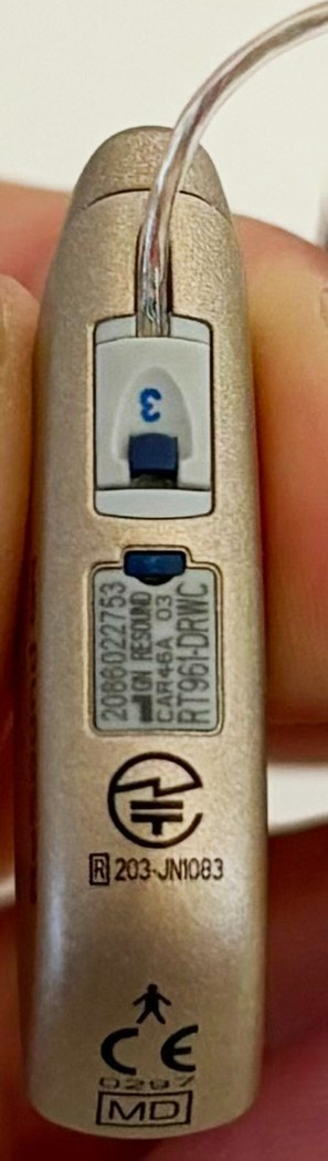 ReSound RT961-DRWC BZ 充電式 ReSound RT961-DRWC BZ 充電式 - メルカリ