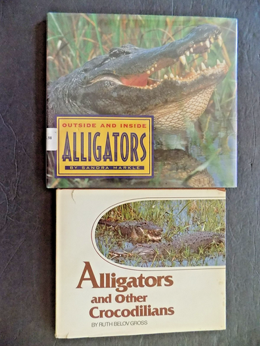 LOT # 47 -  TWO BOOKS ON ALLIGATORS AND CROCS FOR KIDS - Picture 1 of 15