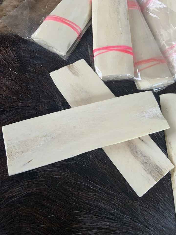 Escalas de cuchillos de hueso de camello, naturales, sin pulir, 5” X 1 1/2”, sin rellenos, juego de cuchillos Foto 3 de 4