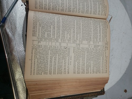Antique 1881 Holy Bible Old & New Testaments w/2500+Illustrations - Imagen 19 de 24