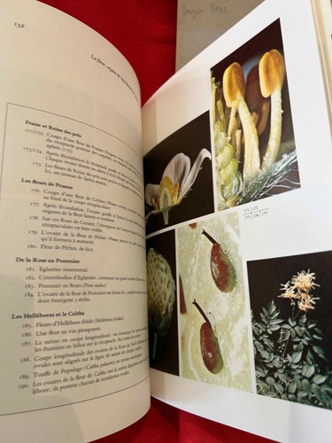 PELT & HAYON- Évolution et sexualité des plantes. 1970. Envoi de l'auteur. - Picture 7 of 8