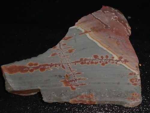 Sonora dendritische Jaspis Platte - 5 3/8" x 4 3/8" grob - Verkabelung - NEUES MATERIAL - Bild 3 von 3