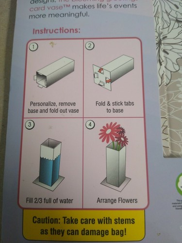 Blooming Greetings Card Vase The Vase that says it all. Just add water and flowe - Picture 2 of 4