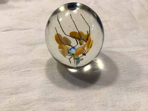 Perry Kenin Kenin Art 7.1 Cm Botanical Orb Glass Paperweight Orange Blue Black - Picture 2 of 12