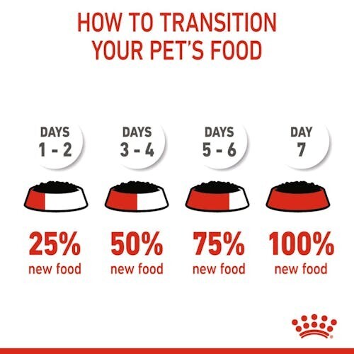 ROYAL CANIN Starter Mother & Babydog Puppy Wet Food 195G X 48 (BB 13/03/2025) - Picture 4 of 6