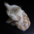 Picture 6 of 12