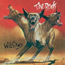 Wild Dogs by Rods