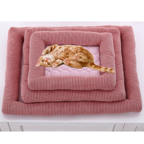 Cool Pet Coussin dintérieur pour chat chien (, S, collection 45 x 35 cm)
