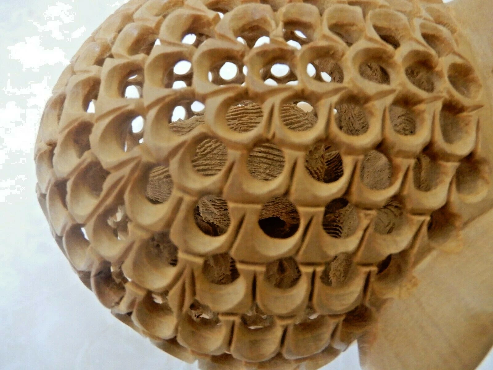 Picture 8 of 12