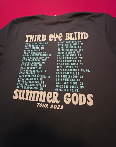 Camiseta Third Eye Blind Summer Gods Tour 2022 Camiseta de Concierto Negra Grande 3ª Usada en Excelente Condición - Imagen 7 de 11