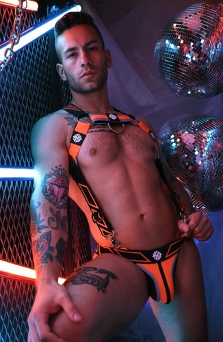 Arnés Breedwell Neón Naranja Akira Cuerpo Y Bulldog Extra Pequeño XS - Imagen 1 de 14