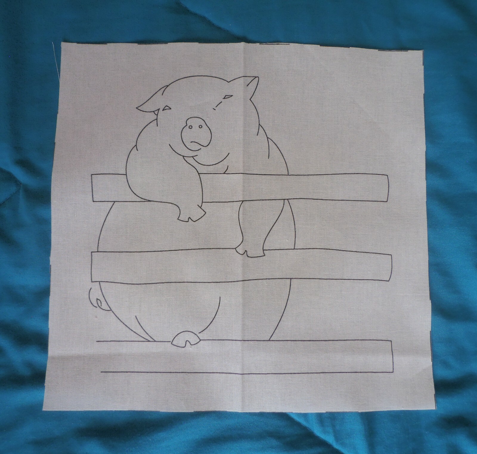 Picture 10 of 63