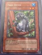 Tree Otter - RGBT-EN095 - Rare - Unlimited Edition - Lightly Played