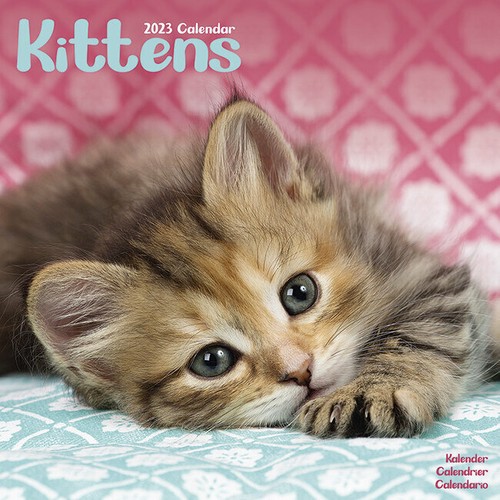 Calendrier 2023 - CHATONS - Photo 1/2