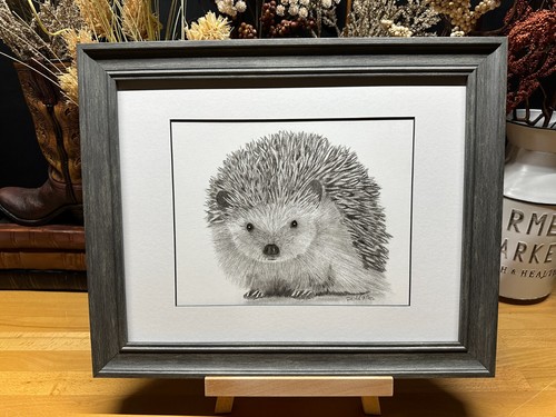 Drawing of a Hedgehog Hedge Hog Graphite Pencil Art Sketch Picture Print - Picture 1 of 16