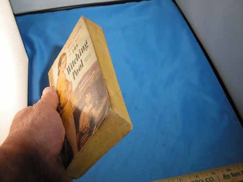 The Witching Pool by Robert Presnell, Jr.-Vintage Cardinal Paperback-1952 - Picture 4 of 8