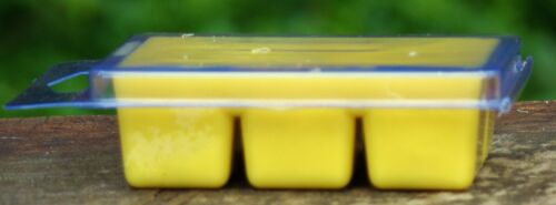 6pk 100hr CITRONELLA JASMINE Strong Scented Clam CANDLE MELTS for OIL DIFFUSSER - Picture 4 of 12