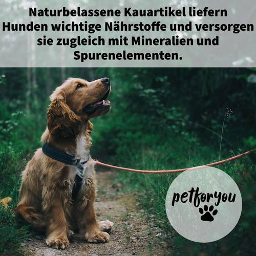 Hühnerhälse Hundefutter Kauartikel 1-10kg Kausnack wie Hühnerfüße / Hühnerbrust - Bild 8 von 8