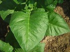 Foto 6 di 7