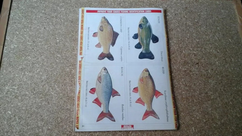 IMPROVE YOUR COARSE FISHING - ISSUE 49 JULY 1995 ACCEPTABLE CONDITION - Picture 4 of 4