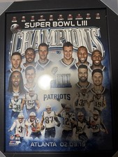 New England Patriots Super Bowl LIII Champions
