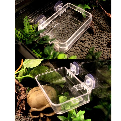Transparenter Schildkröten-Gecko-Reptil-Frosch-Terrarium-Wasser- Und - Bild 5 von 7